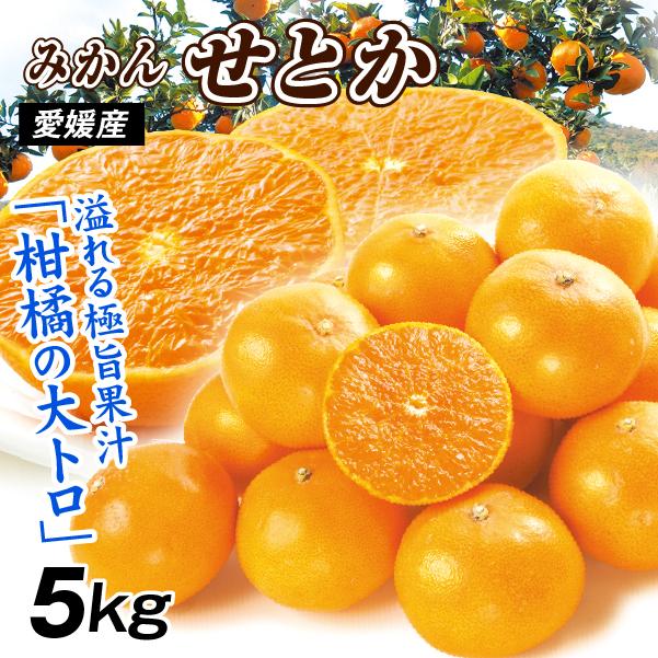 みかん 5kg せとか ご家庭用 愛媛産 ミカン 送料無料 食品 爆買 : 花と