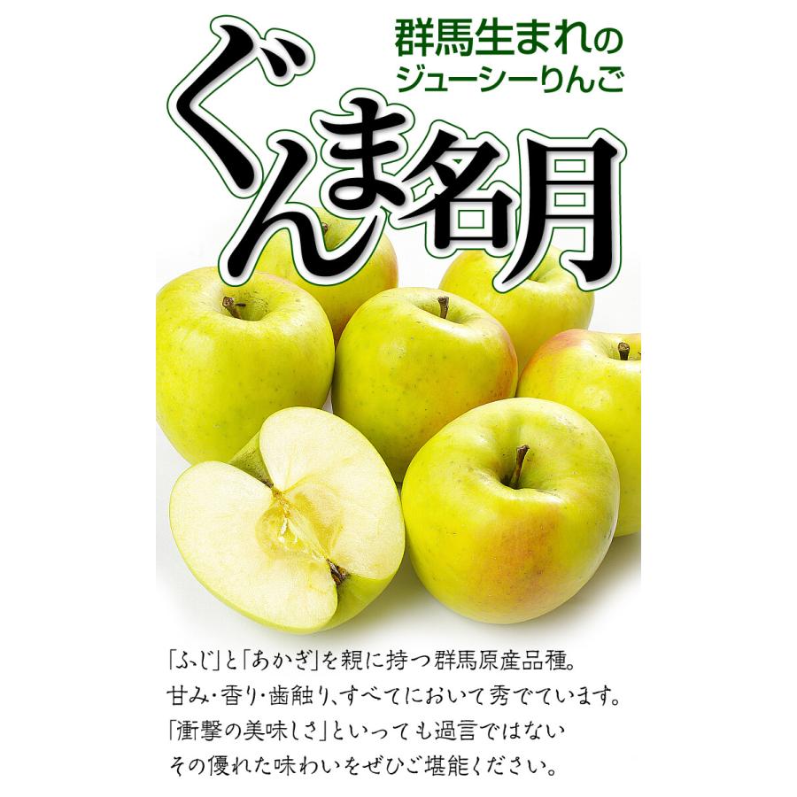 国華園 りんご 3kg ぐんま名月 青森産 送料無料 食品 : 花と緑 国華園
