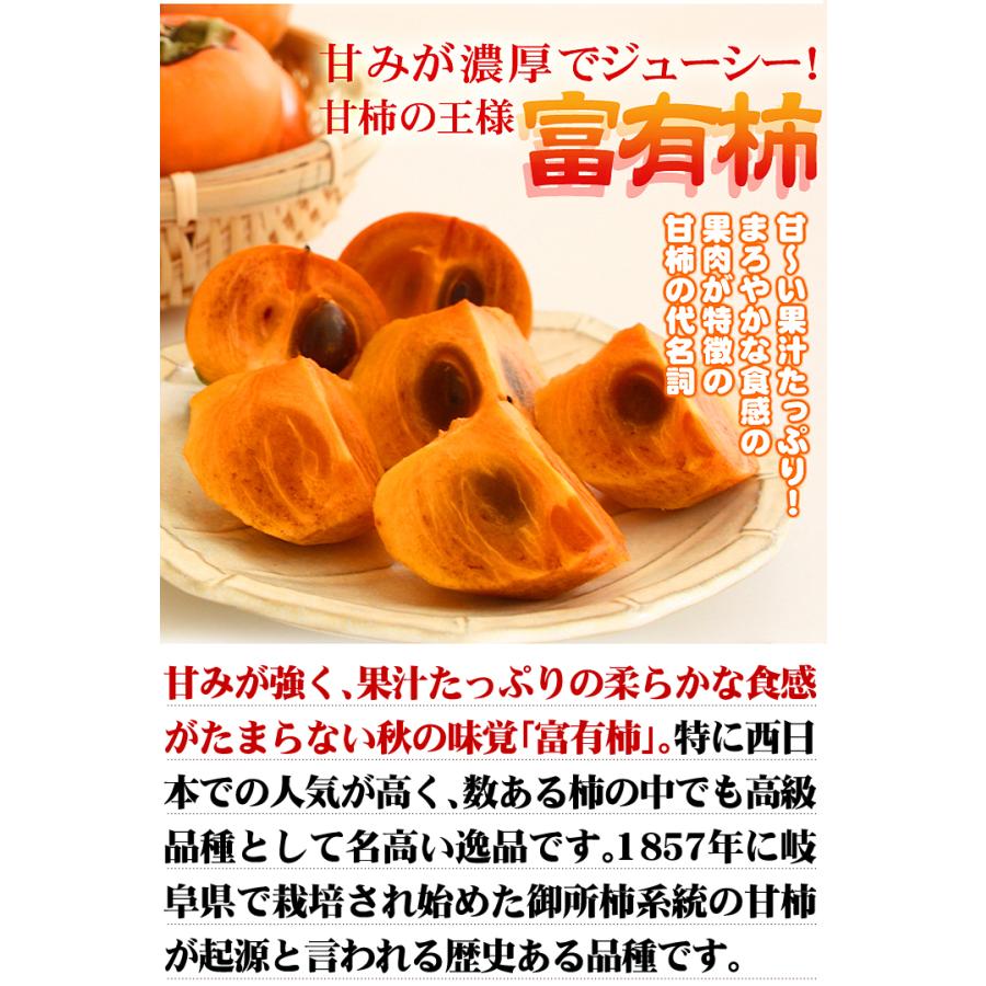 和歌山　富有柿　ご家庭用 富有柿〈ご家庭用〉 柿の名産地 九度山の富有柿 約7.5kg 厳選館《2026