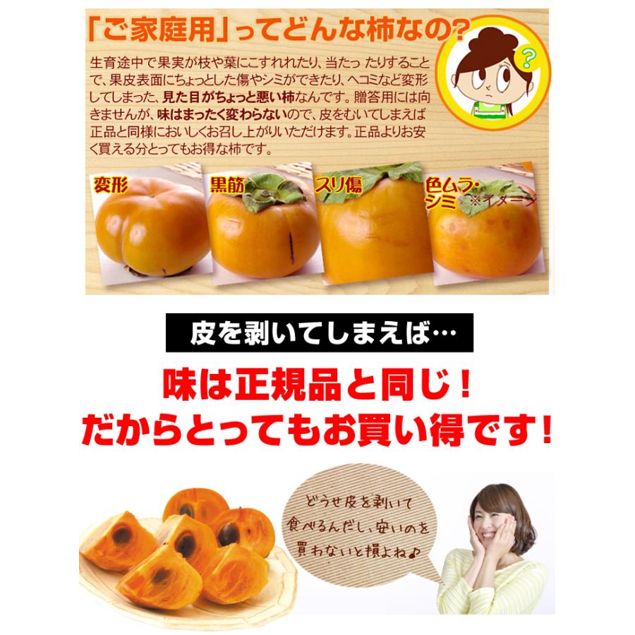 和歌山　富有柿　ご家庭用 柿 7.5kg 富有柿 ご家庭用 和歌山産 送料無料 食品 : 食みらい・国華園
