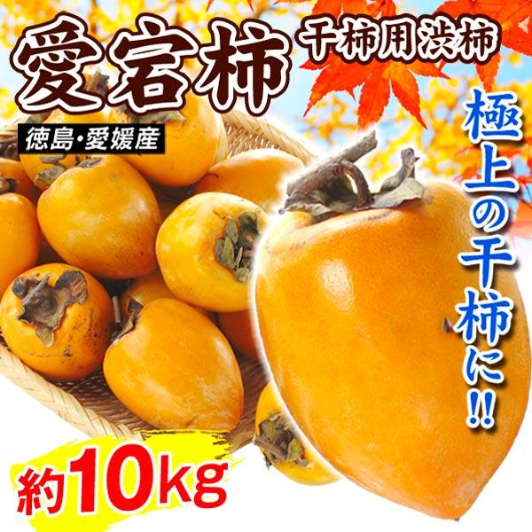 柿 10kg 愛宕柿【数量限定】干柿用渋柿 ご家庭用 徳島・愛媛産 送料無料 食品 : 花と緑 国華園 - 通販 - Yahoo!ショッピング