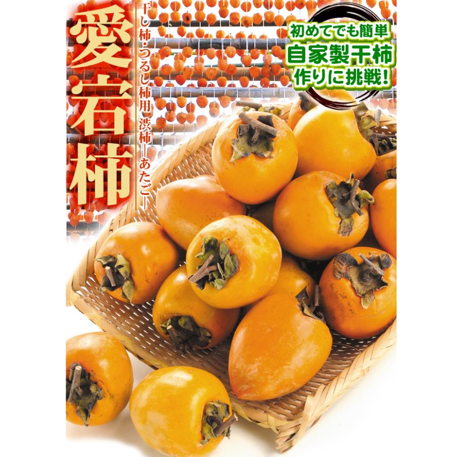 柿 10kg 愛宕柿【数量限定】干柿用渋柿 ご家庭用 徳島・愛媛産 送料