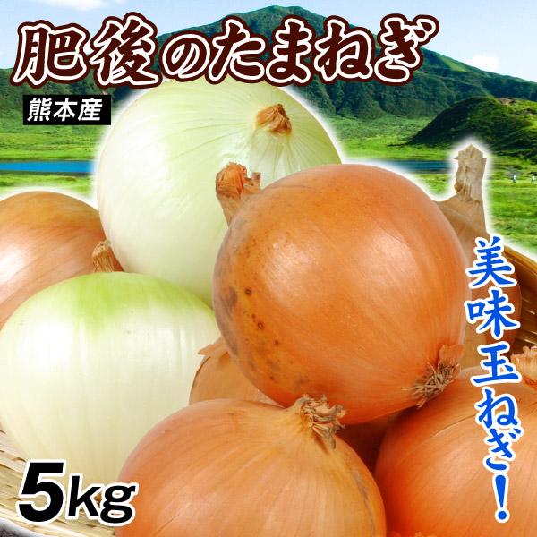 たまねぎ 5kg 肥後のたまねぎ 熊本産 送料無料 食品 : 花と緑 国華園