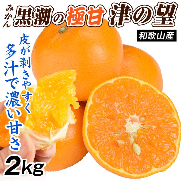 みかん 2kg 黒潮の極甘 津の望 和歌山産 紀南 名産地 ご家庭用 春柑橘