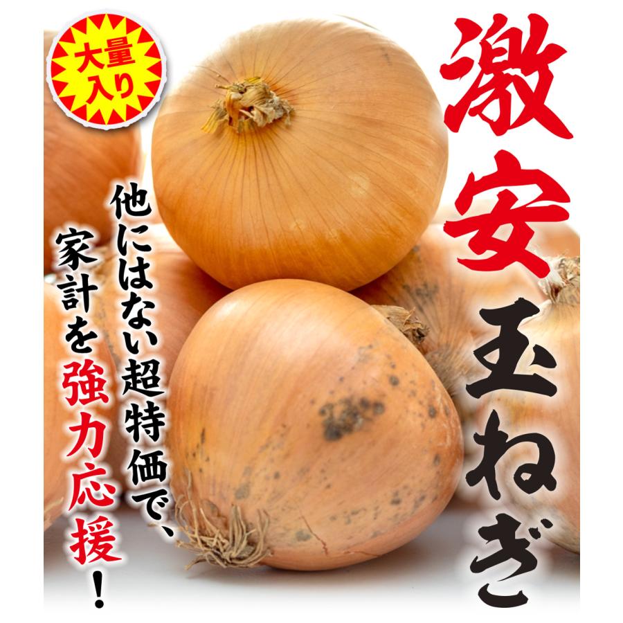 国華園 たまねぎ 20kg お買得 大容量 中国産 玉ねぎ 玉葱 食品 : 花と
