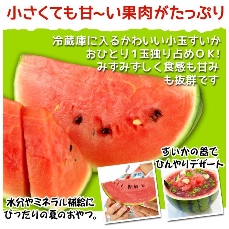 スイカ 約3kg（3玉入り）黒皮小玉すいか ひとりじめBonBon 熊本産 送料