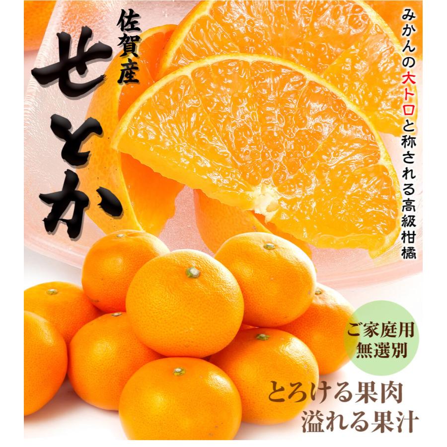 みかん 5kg せとか 佐賀産 ご家庭用 柑橘 送料無料 食品 国華園 爆買