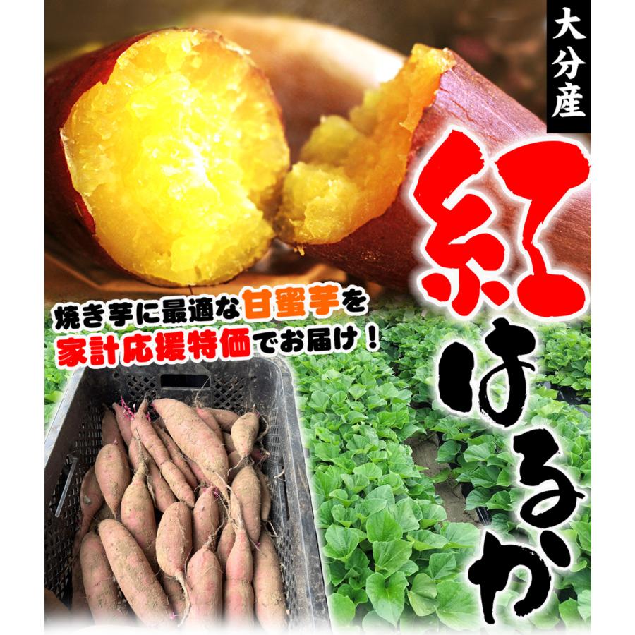 送料無料】【訳あり】大分県産 紅はるか 10kg サイズ混合 ご家庭用