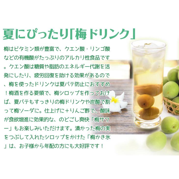 国華園 梅 10kg 南高梅【青梅】ご家庭用 和歌山産 送料無料 食品 : 花