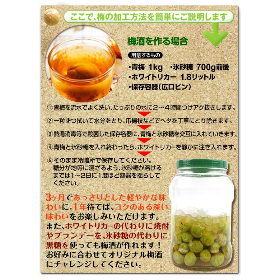 国華園 梅 10kg 南高梅【青梅】ご家庭用 和歌山産 送料無料 食品 : 花