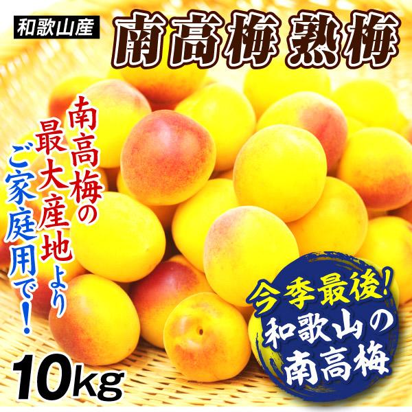 国華園 梅 10kg 南高梅【熟梅】ご家庭用 和歌山産 送料無料 食品 : 花