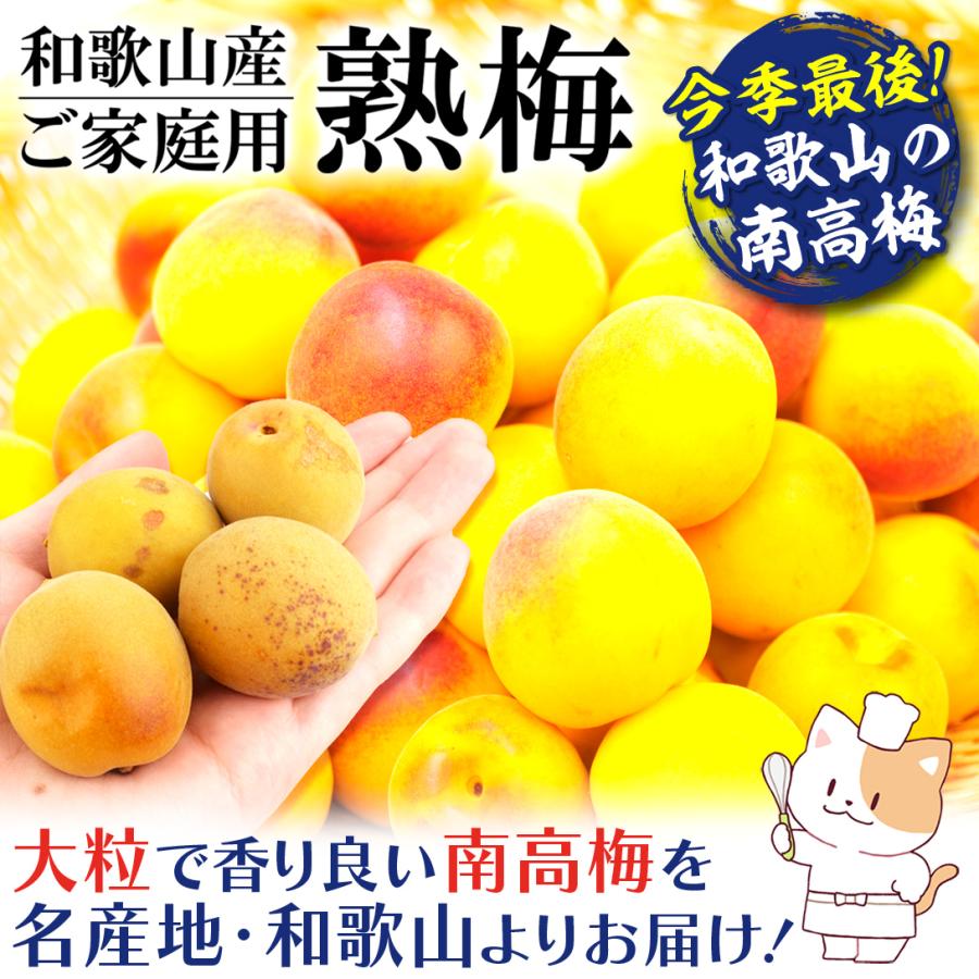 梅 10kg 南高梅【熟梅】ご家庭用 和歌山産 送料無料 食品 : 花と緑 国