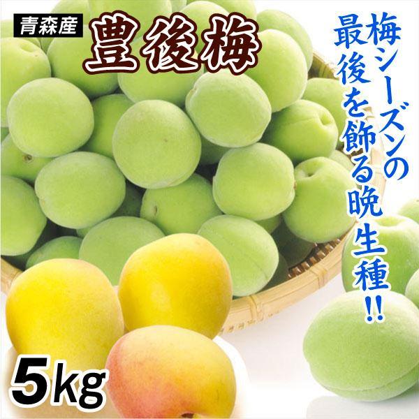 国華園 梅 5kg 豊後梅 青森産 冷蔵便 送料無料 食品 : 花と緑 国華園