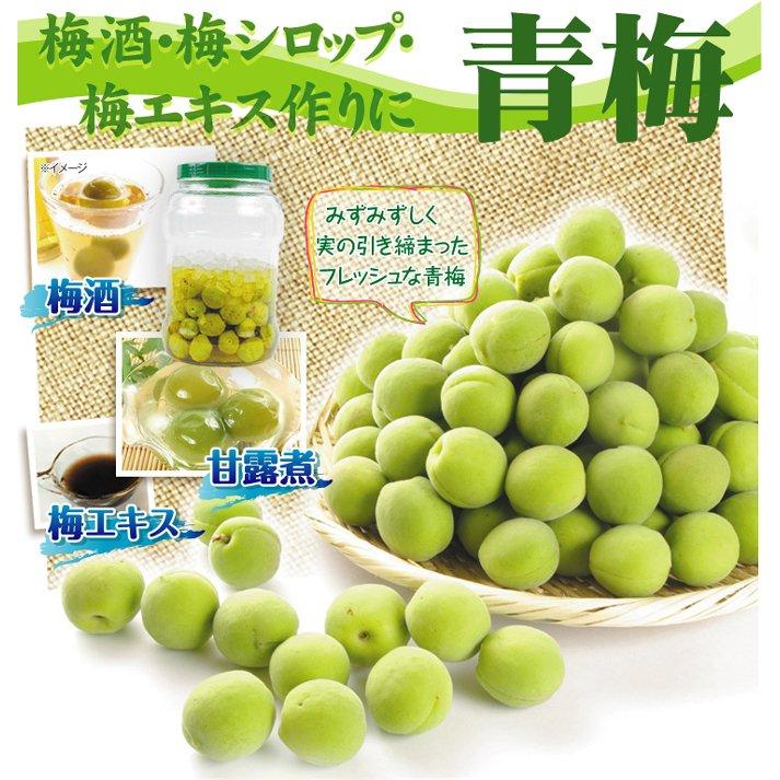国華園 梅 10kg（5kg×2箱） 豊後梅 青森産 冷蔵便 送料無料 食品 : 花