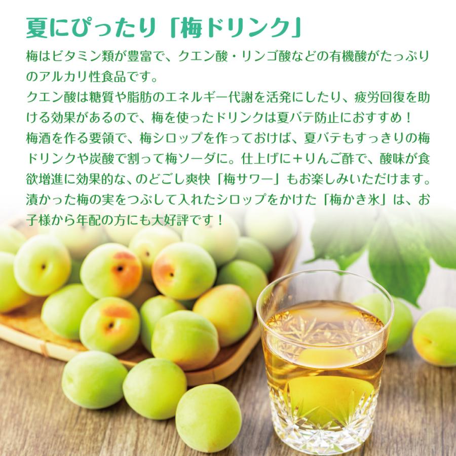 国華園 梅 10kg（5kg×2箱） 豊後梅 青森産 冷蔵便 送料無料 食品 : 花