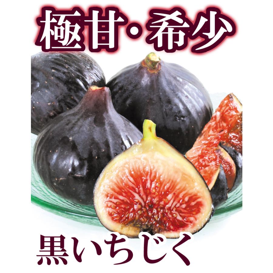 国華園 いちじく 約500g (250g×2パック) ビオレ・ソリエス 新潟産 希少