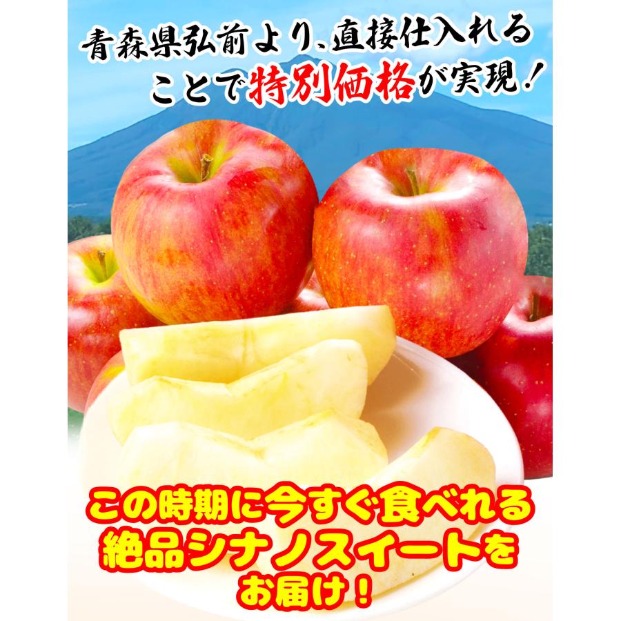 りんご 10kg 弘前のシナノスイート ご家庭用 青森産 林檎 果物 送料