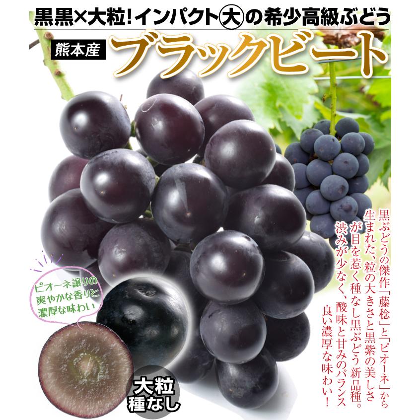 ぶどう 約600g（300g×2パック） ブラックビート 熊本産 葡萄 果物