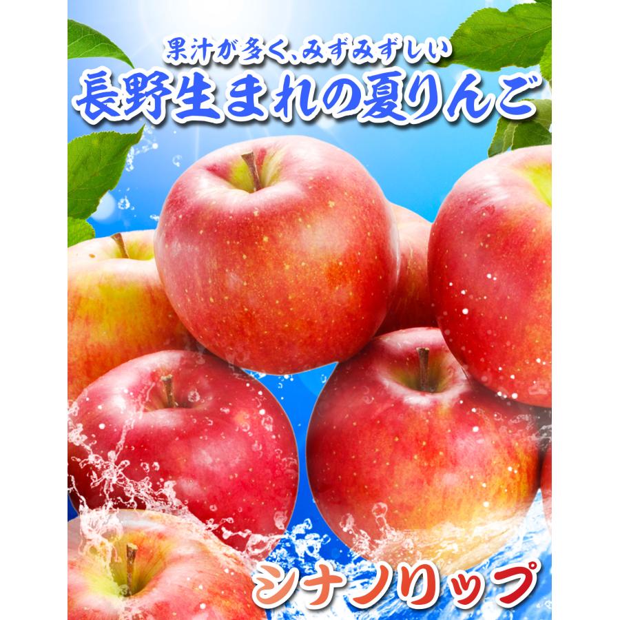 国華園 りんご 5kg ご家庭用 シナノリップ 長野産 送料無料 食品 : 花
