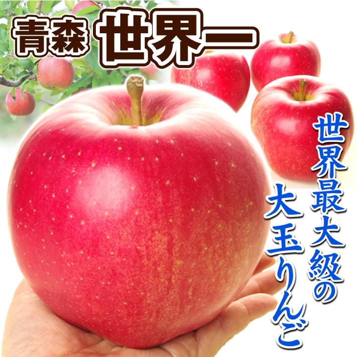 国華園 りんご 青森産 世界一 3kg 巨大 特大玉 贈答 送料無料 食品 2026年産予約開始