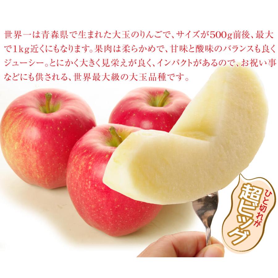 国華園 りんご 青森産 世界一 3kg 巨大 特大玉 贈答 送料無料 食品