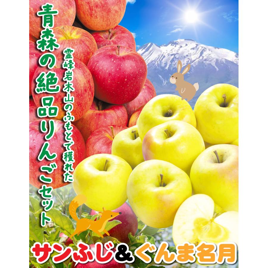 国華園 りんご 青森産 サンふじ ぐんま名月 セット 3kg 詰め合わせ