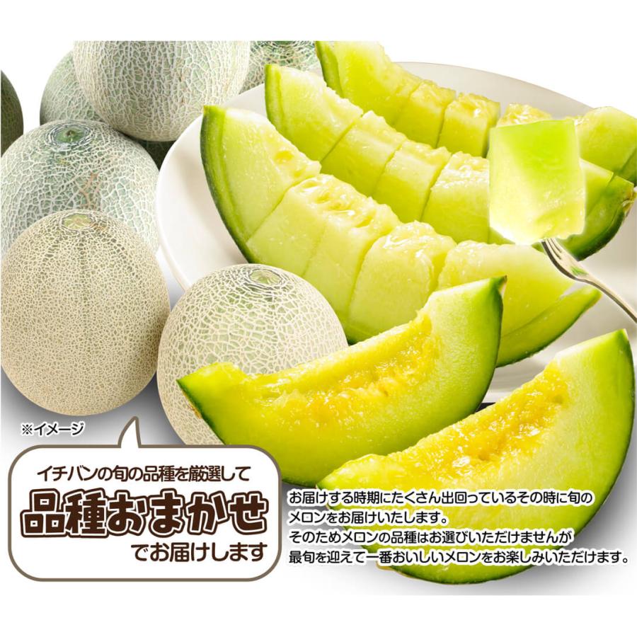 メロン 青森産 おまかせ青肉メロン2玉 （1玉約1.2〜1.5kg） ご家庭用