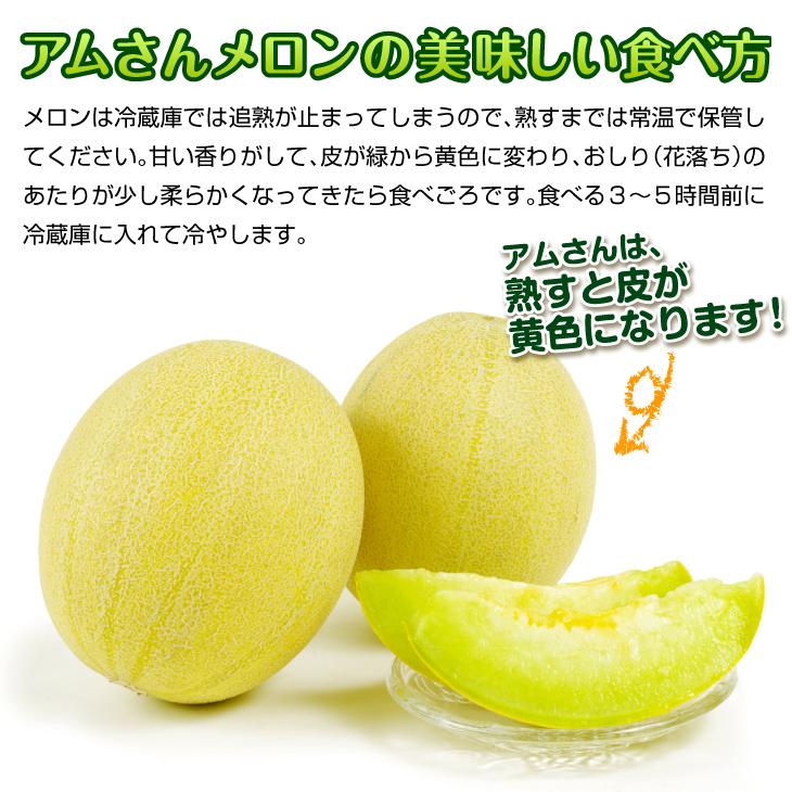 メロン 青森産 アムさんメロン 2.5kg ご家庭用 冷蔵便 送料無料 食品