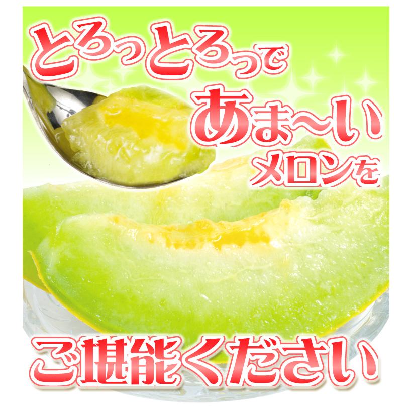 メロン 青森産 アムさんメロン 2.5kg ご家庭用 冷蔵便 送料無料 食品