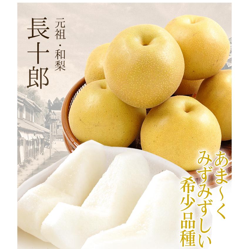 梨 青森産 長十郎梨 4kg(10〜22玉) ご家庭用 送料無料 食品 国華園