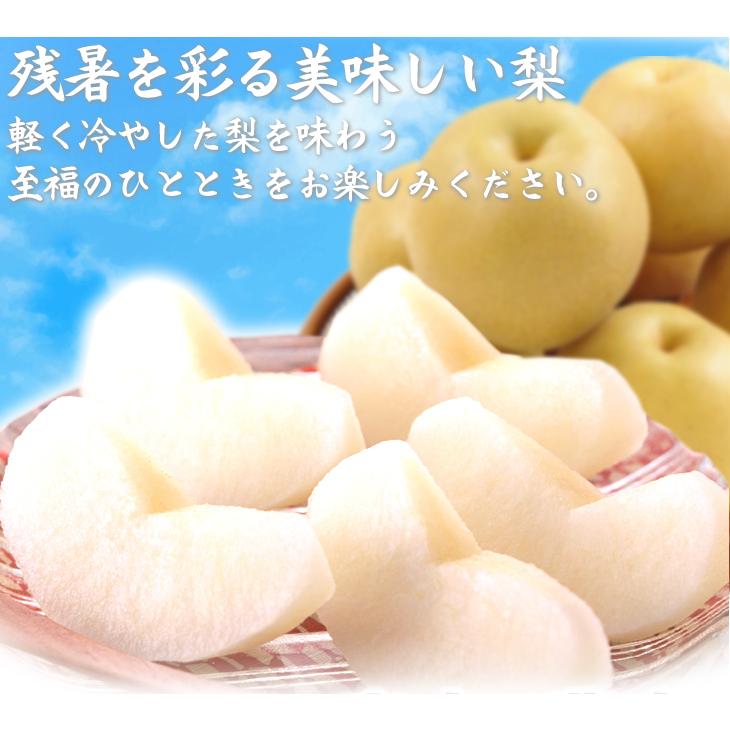 梨 青森産 長十郎梨 4kg(10〜22玉) ご家庭用 送料無料 食品 国華園
