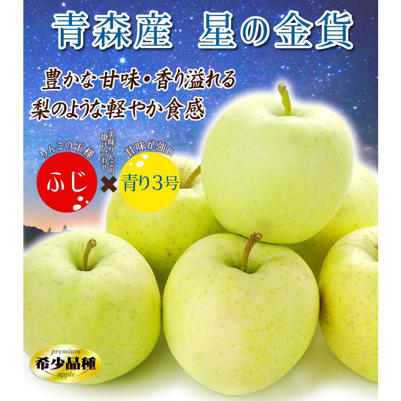 国華園 りんご 10kg 青森産 弘前 りんごの王様 星の金貨 ご家庭用 送料