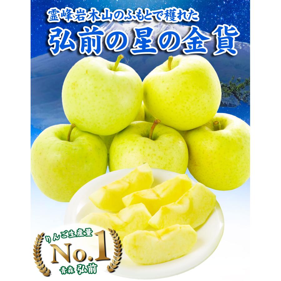 国華園 りんご 10kg 青森産 弘前 りんごの王様 星の金貨 ご家庭用 送料