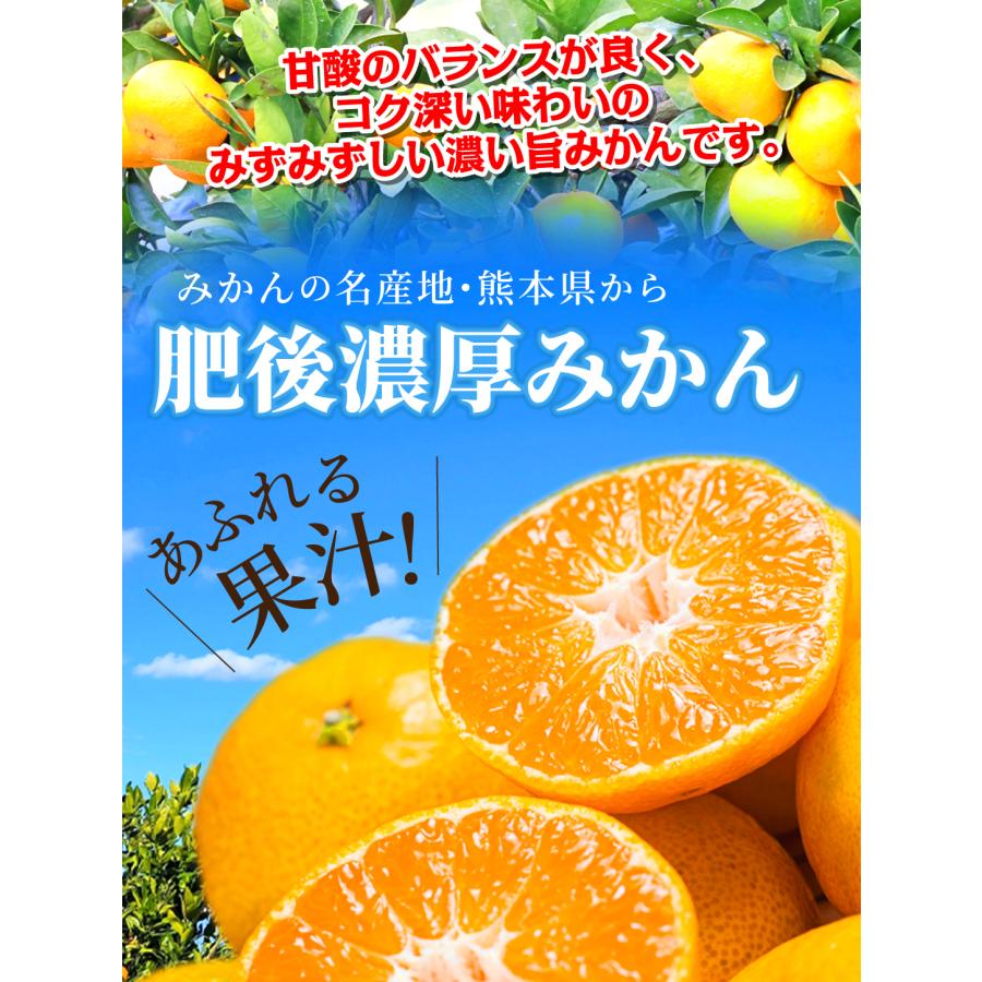 みかん 10kg 肥後濃厚みかん 熊本産 コク甘溢れる果汁 有明海の温暖な