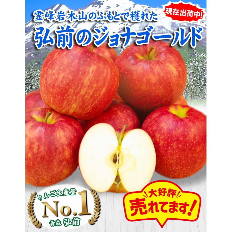 りんご 10kg 青森産 弘前 ジョナゴールド 甘酸っぱい ご家庭用 訳あり
