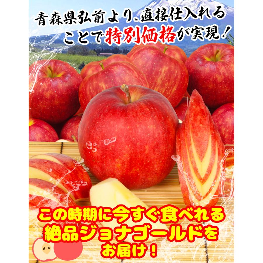 りんご 10kg 青森産 弘前 ジョナゴールド 甘酸っぱい ご家庭用 訳あり