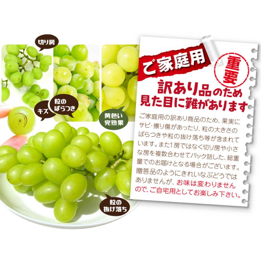 国華園 ぶどう 約700g (約350g×2パック) シャインマスカット ただいま