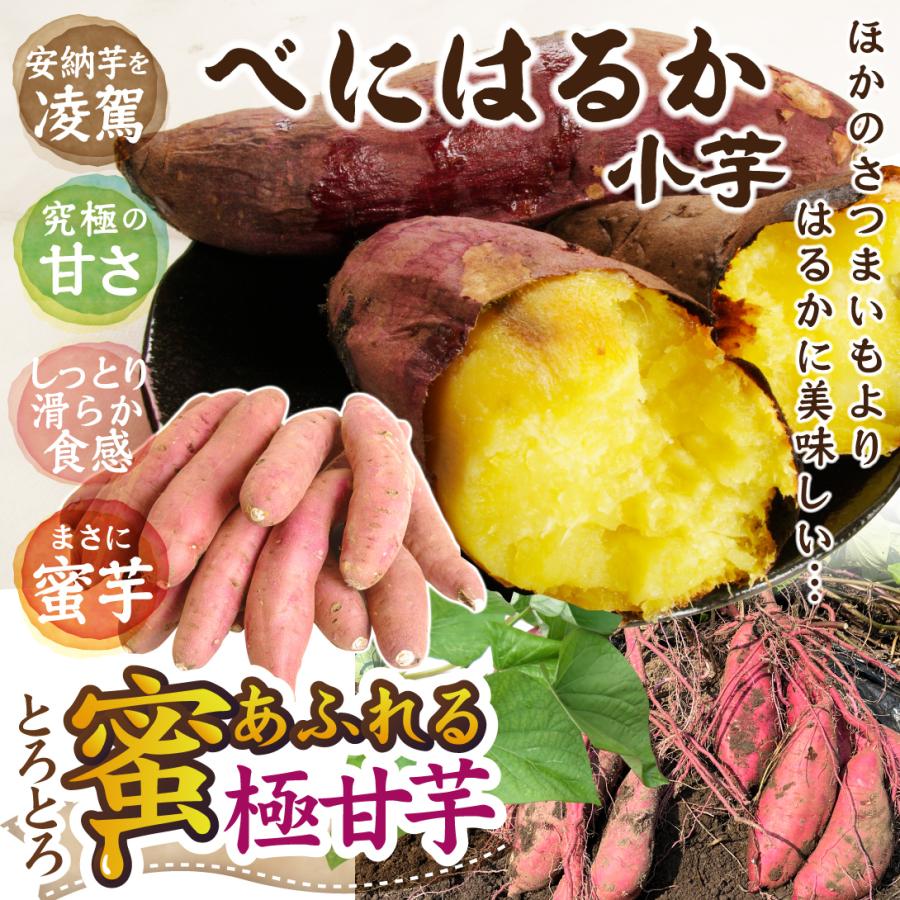 黄金千貫5kg、紅はるか5kg、小さな紫芋1.2kg、小さな紅はるか5kg さつまいも 5kg 紅はるか 小芋 茨城産 送料無料 食品 国華園 : 花と緑