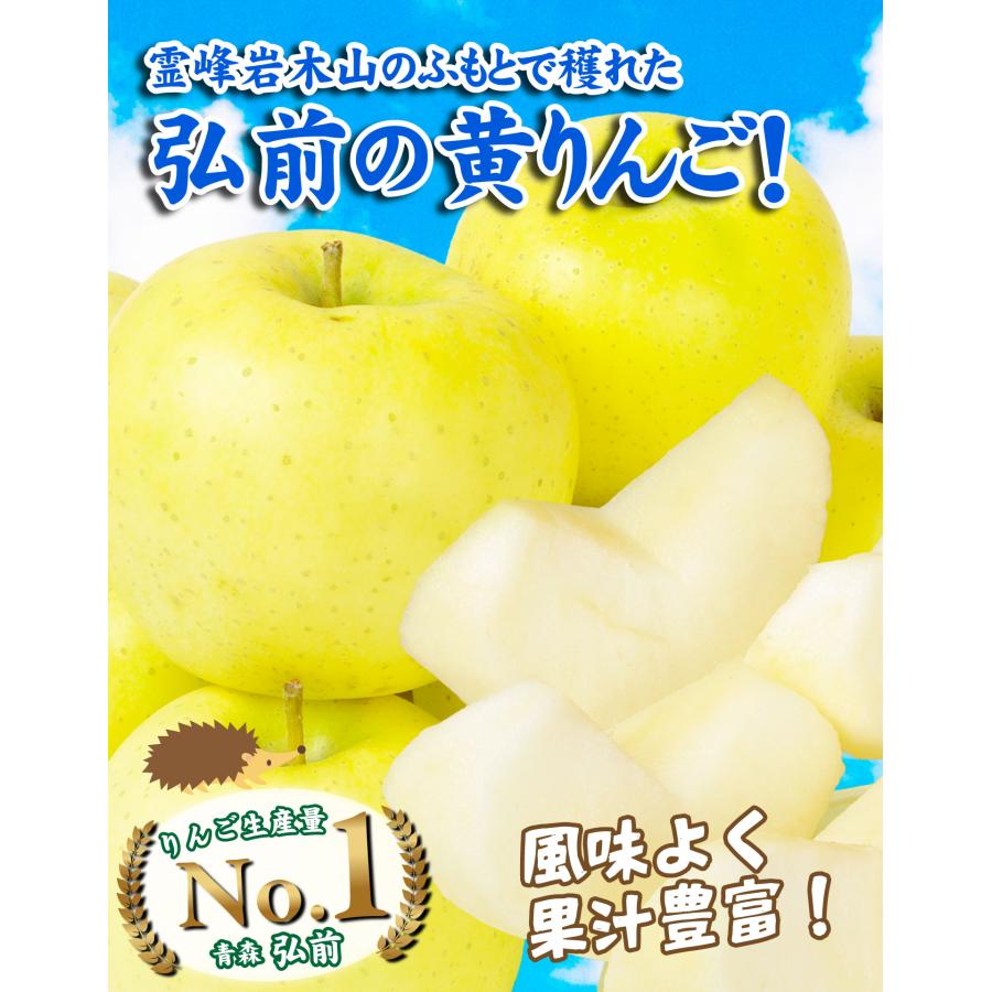 青森県産 ＂ 黄王 ＂りんご 家庭用 10kg 産地直送 リンゴ 林檎 りんご 10kg 青森産 弘前の黄王 黄色りんごの王様 ご家庭用 訳あり