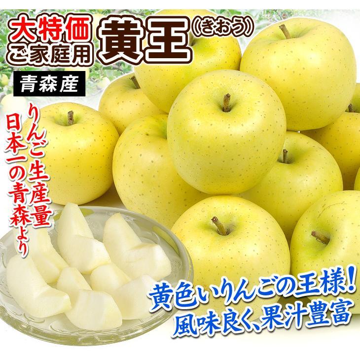 りんご 10kg 青森産 弘前の黄王 黄色りんごの王様 ご家庭用 訳あり