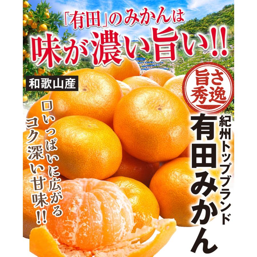 【濃厚】本場有田みかん 10kg箱 送料無料 みかん 10kg ご家庭用 有田の太陽みかん 和歌山産 有田みかん 温州
