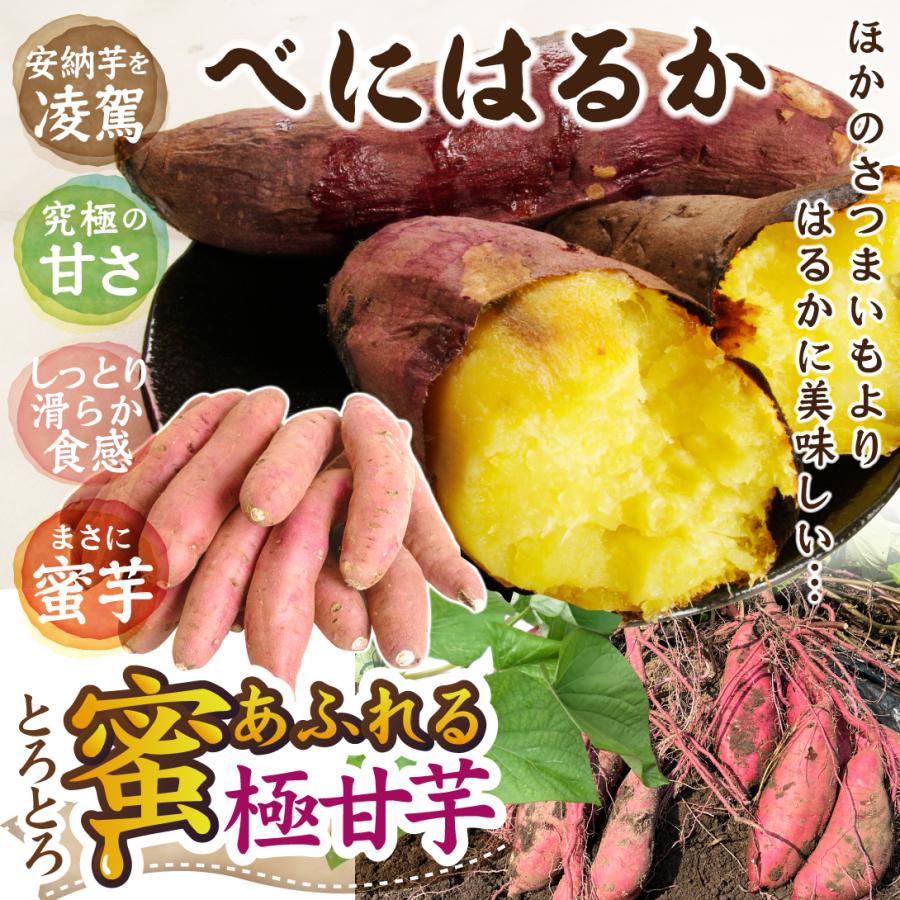 さつまいも 10kg 溝口さんの紅はるか宮崎産 生芋 ご家庭用 土付き べに