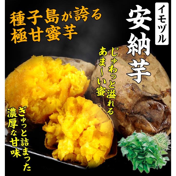 さつまいも苗 安納芋イモヅル 10本 イモヅル 芋づる 切り苗 挿し穂 家庭菜園 自給自足 球根 国華園 P11s3 3000 花と緑 国華園 通販 Yahoo ショッピング