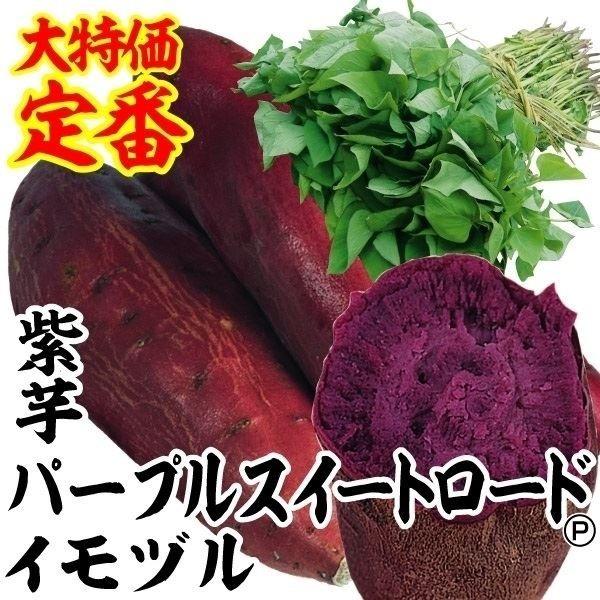 イモヅル 芋づる パープルスイートロードイモヅル10本 / さつまいもの苗 サツマイモの苗 家庭菜園 紫芋 紫いも 人気 お菓子作り（Yahoo!・花と緑 国華園）
