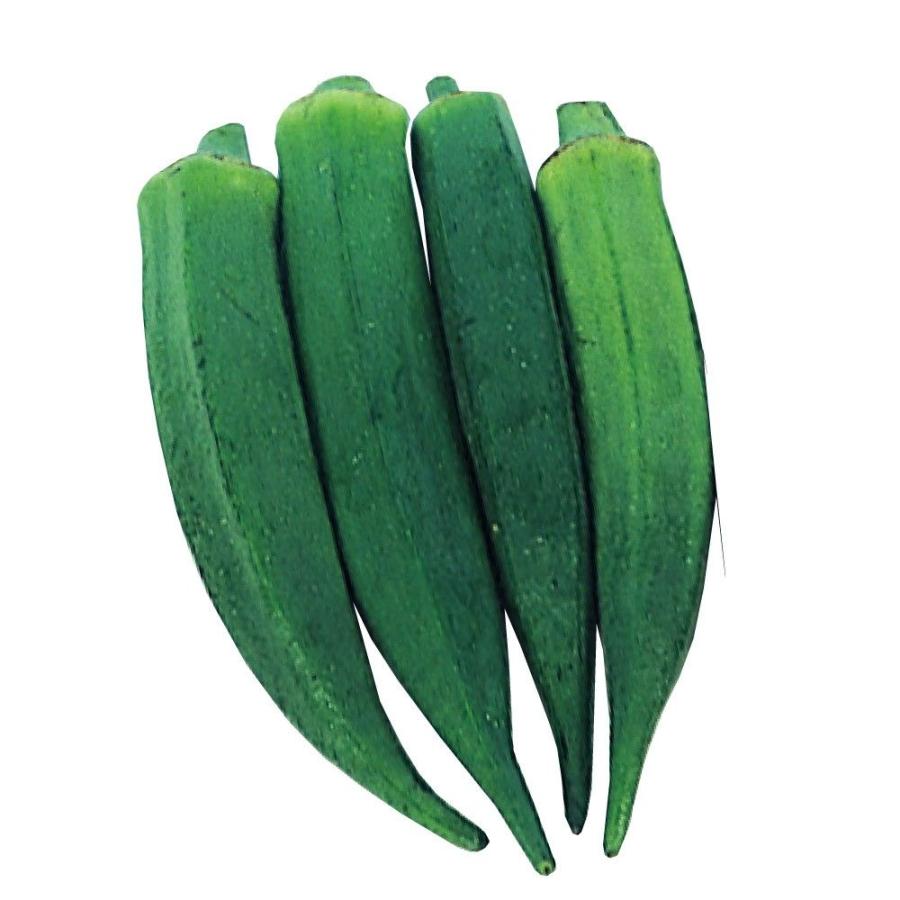 オクラ たね 種 1袋 10ml 野菜たね 野菜のタネ 野菜 種子 おくら Ytc141 国華園 P11s6 6165 花と緑 国華園 通販 Yahoo ショッピング