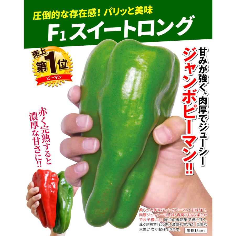 種 野菜たね ピーマン F1スイートロング 1袋（20粒） やさいの種 国