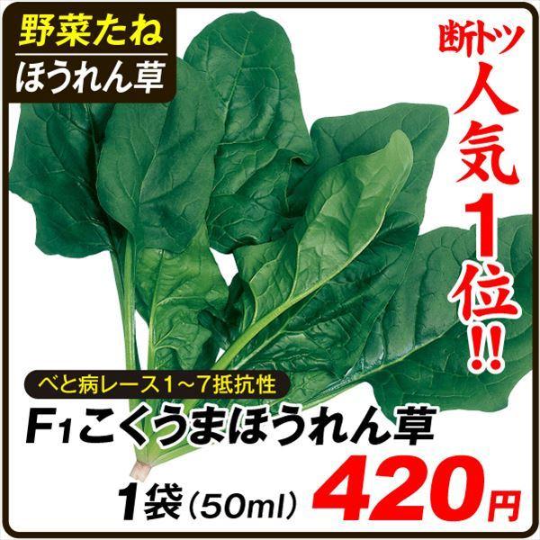 いいスタイル ホウレンソウ たね 種 F1こくうまホウレン草 1袋 50ml 野菜たね 野菜のタネ 野菜 種子 法蓮草 Ytc42 国華園 Wantannas Go Id