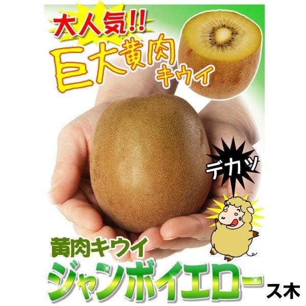 キウイ 苗 ジャンボイエロー メス木 1株 ゴールデン ゴールド 苗 キウイの木 キューイ キウイ 苗木 果樹苗 国華園 P11s8 03 花と緑 国華園 通販 Yahoo ショッピング