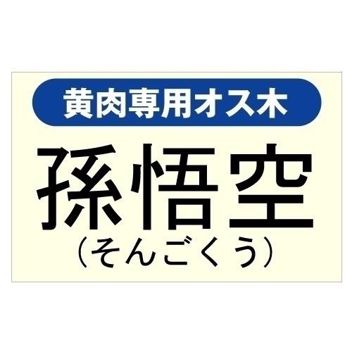 果樹苗 黄肉キウイ専用オス木 孫悟空 1株（Yahoo!・花と緑 国華園）