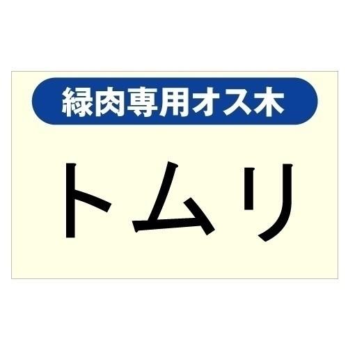 果樹苗 緑肉キウイ専用オス木 トムリ 1株（Yahoo!・花と緑 国華園）